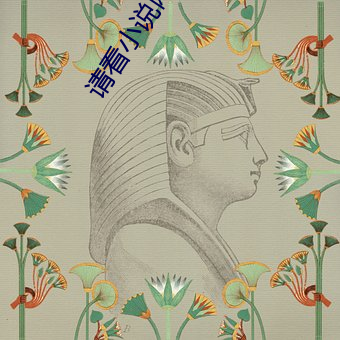 请看(kàn)小说网