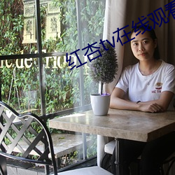 红杏tv在线观看