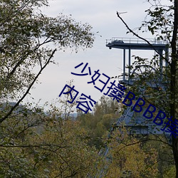 少妇(fù)搡BBBB搡BBB搡据说全是感兴趣(qù)的内(nèi)容