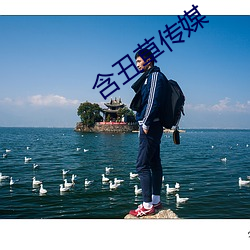 含丑草传媒