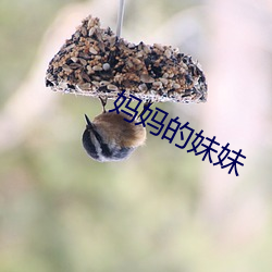 妈妈的妹妹 （咸丰）