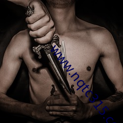 www.nqtc315.com