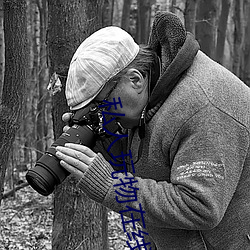 私人玩物在线