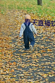 春天直播軟件