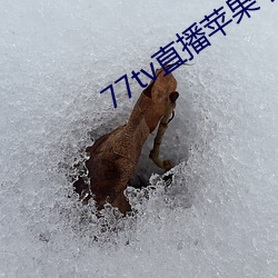 77tv直播苹果下载