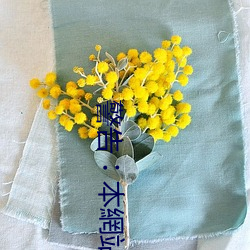 警告︰本網站只這合十八歲或以上人士觀看。內容可能令人反 （一团糟）