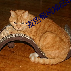 夜色蜜桃精品导航