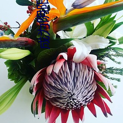 成为(wèi)阴阳人后(hòu)我苟活(huó)下来(lái)