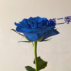 xl上(上)司第(第)二季未增删翻译樱(櫻)花