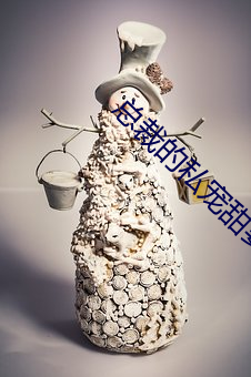 总(總)裁(裁)的私(私)宠甜妻免(免)费阅(閱)读全文