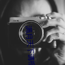 满月(yuè)天下(xià)请相爱免(miǎn)费(fèi)观全(quán)集(jí)