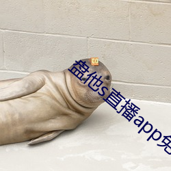 凯时|AG(AsiaGaming)优质运营商