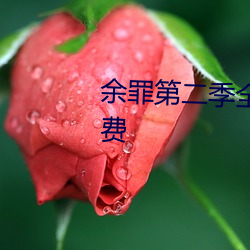 余罪第二季全24集观看完整版免费
