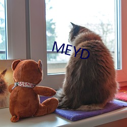 MEYD