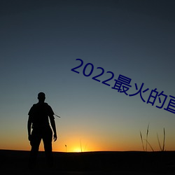 2022最火的直播app