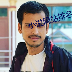 小说(說)网站排名