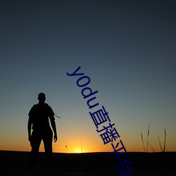y0du直播平台