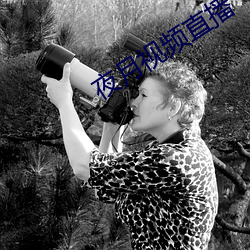 夜月视频直播