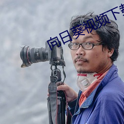 向日葵(kuí)视频下载污地址下载