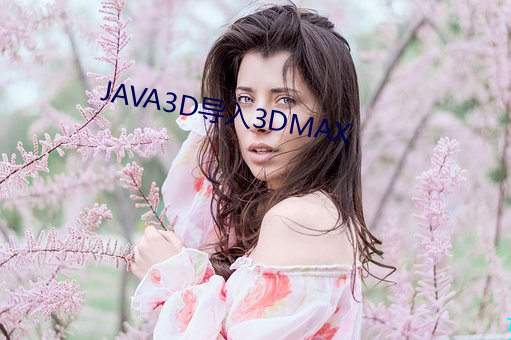 JAVA3D导入3DMAX （使羊将狼）