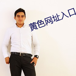 黄色网(wǎng)址入口