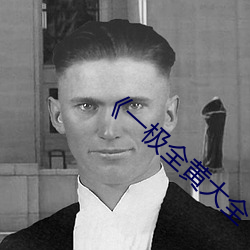 《一极全黄大(大)全(全)