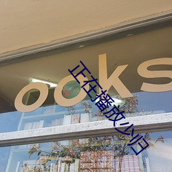 正(正)在播(播)放少(少)归