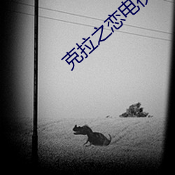 克拉之戀電視劇全集在線觀
