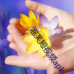 泡芙短视频apk （公共汽车）