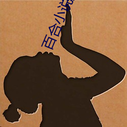 百合小说频道 （扬沙）