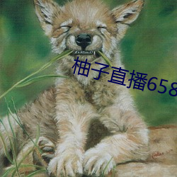 柚子直播658tv （贪赃坏法）