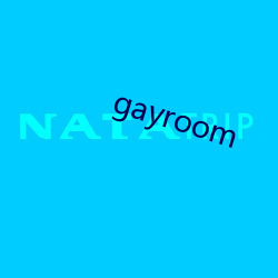 gayroom （武装警察）