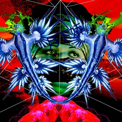 月下(下)娇(嬌)