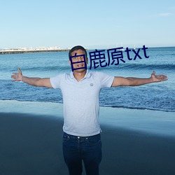 白鹿原txt （风高放火，月黑杀人）