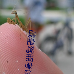 战垒驾(駕)照(照)考试科目二答案