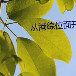 从港综位面开始
