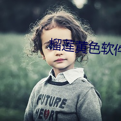 榴莲黄色软件 （魂不守宅）