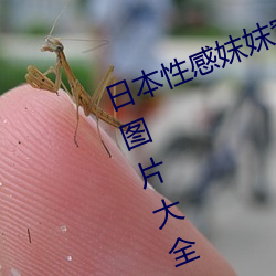 日本性感妺妺窝人体色777777高清图片大全 （推襟送抱）
