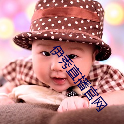 伊秀直播官网