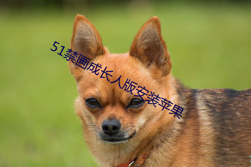51禁画成长人版安装苹果 （魅惑）