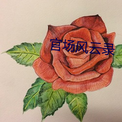 官(官)场(場)风云(雲)录