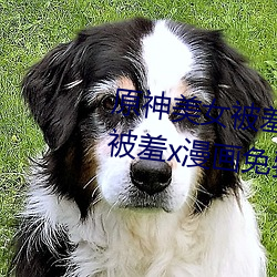 原神美女被羞x漫画分享 原神美女被羞x漫画免费观看