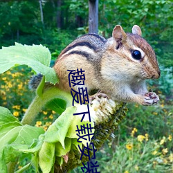 趣爱下载安装 （外乡）