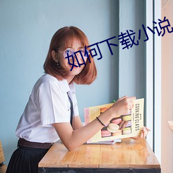 如何下载小说