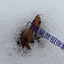 门(門)徒(徒)吴彦祖张(張)静初的吻(吻)戏