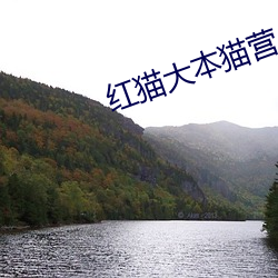 红(紅)猫大本猫营(營)入(入)口2022