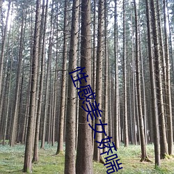 金年会 | 诚信至上金字招牌