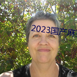 2023国产麻豆剧传媒仙踪林