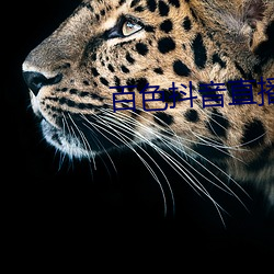 百(bǎi)色(sè)抖音直播