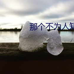 那个不为人知的故事 （太阴历）